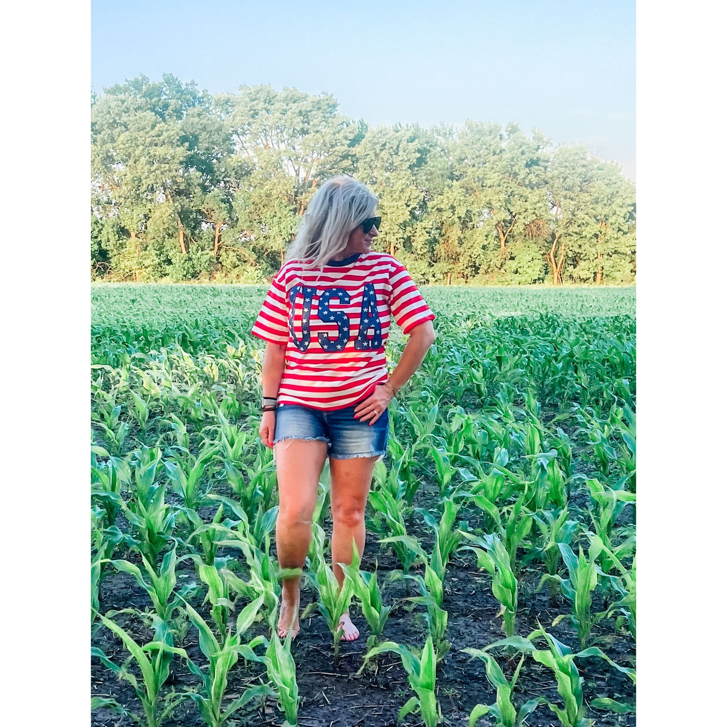 USA Stripe Top