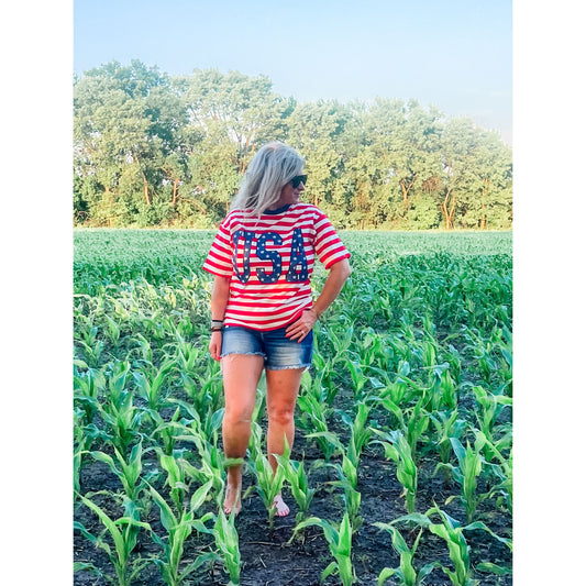 USA Stripe Top