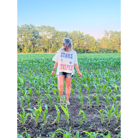 Stars and Stripes Patchwork Top